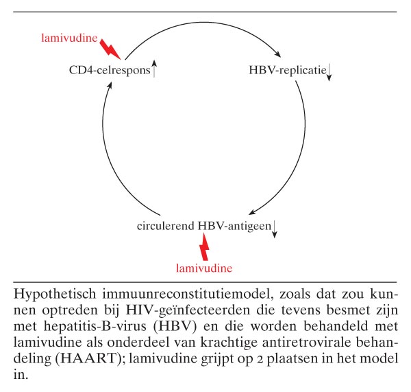 Patiënten Met Een Coïnfectie Van HIV En Hepatitis-B-virus (HBV ...