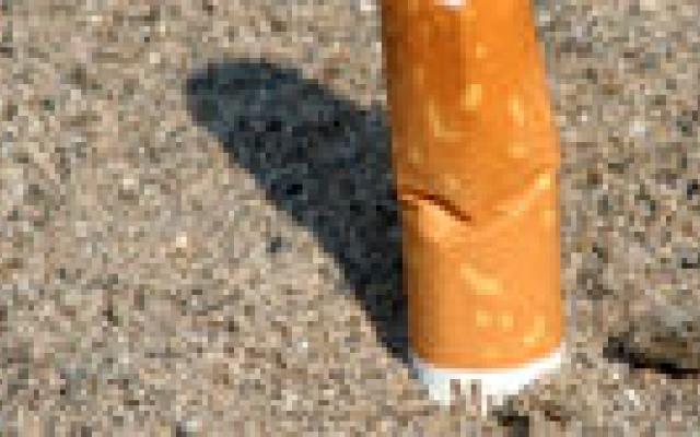 Nicotineraadsel opgelost