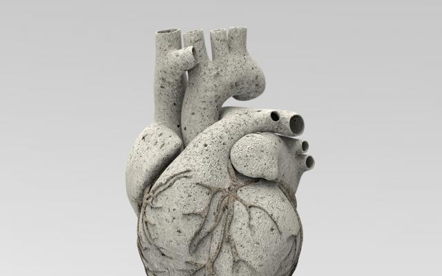 Een stenen hart.