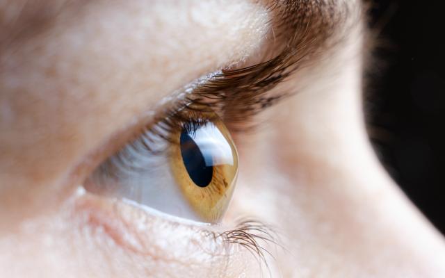 Close-up van zijaanzicht van een bruin oog