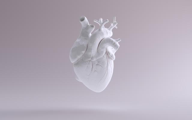 Illustratie van een hart