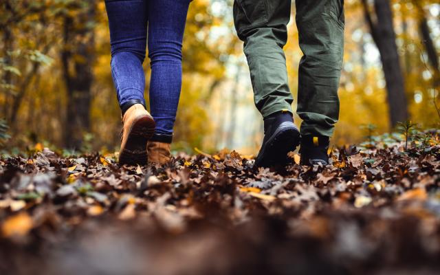 Wandelende mensen door het bos