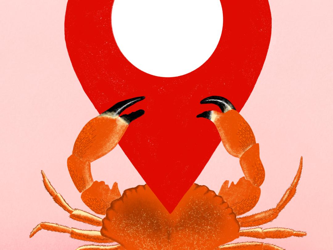 Een illustratie van een krab