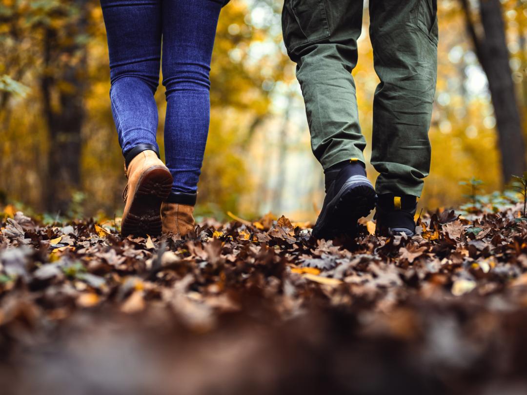 Wandelende mensen door het bos