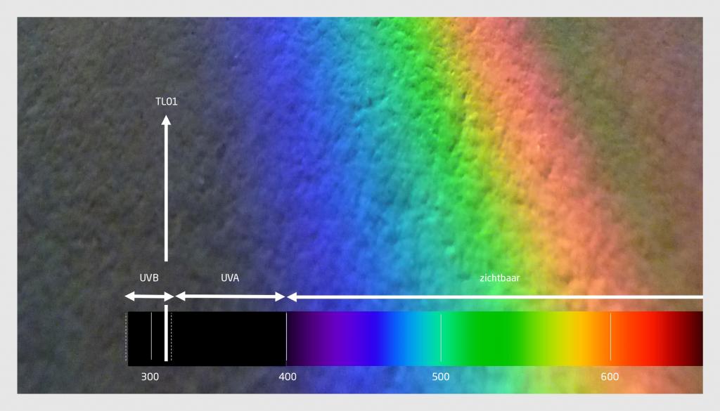 Figuur | Spectrum van zichtbaar licht en UV-straling
